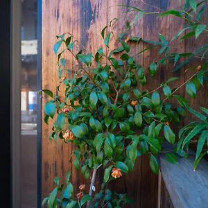 美築八坂 Séjour chez l'habitant